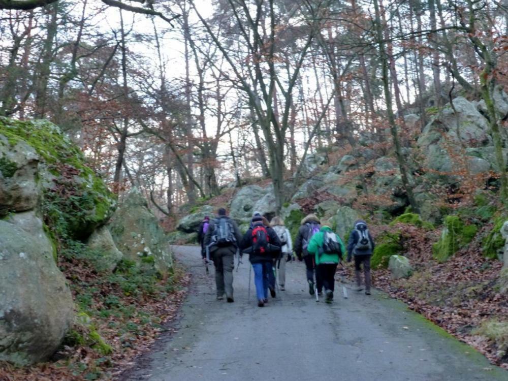Etape Foret Fontainebleau Climb & Randonnees Arbonne Exterior foto