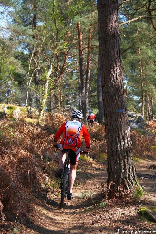 Etape Foret Fontainebleau Climb & Randonnees Arbonne Exterior foto